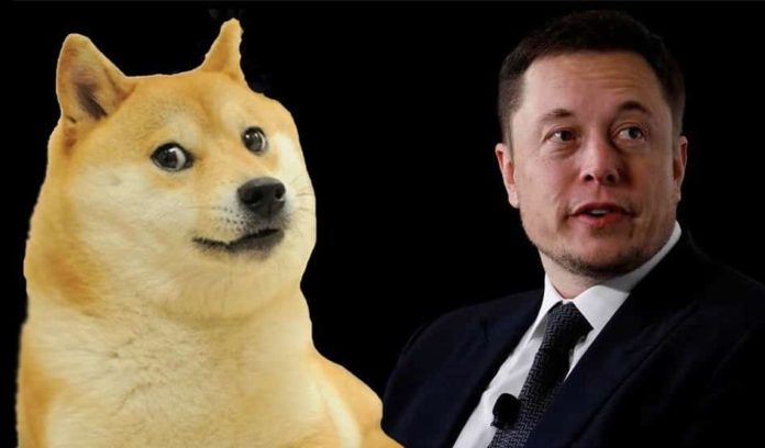 Dogecoin-Elon-Musk-1.jpg