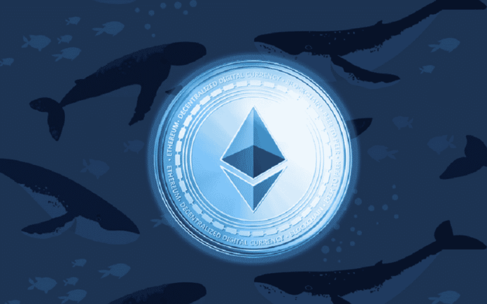 Ethereum-Whales-Amazon-Blockchain-Evolve-Ether-ETF.png