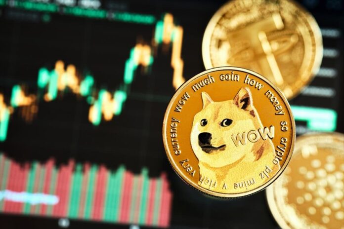 WOW_DOGE.jpg