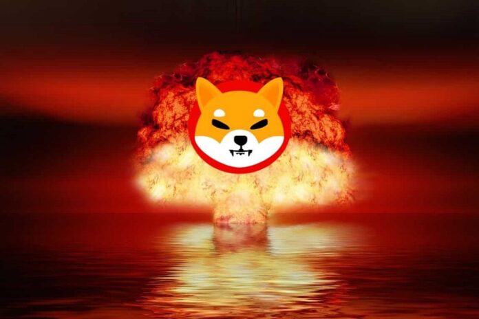 1712641204_shiba-inu.jpeg