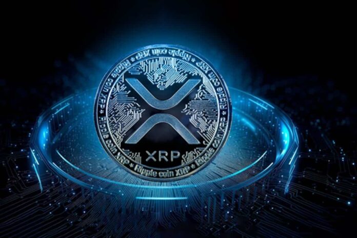 1713349487_xrp222.jpg
