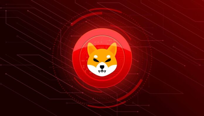Shiba.jpeg