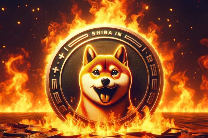 shiba-inu-burn-e1704371211799.jpg