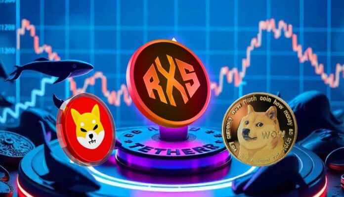 shib-doge-rxs.jpg