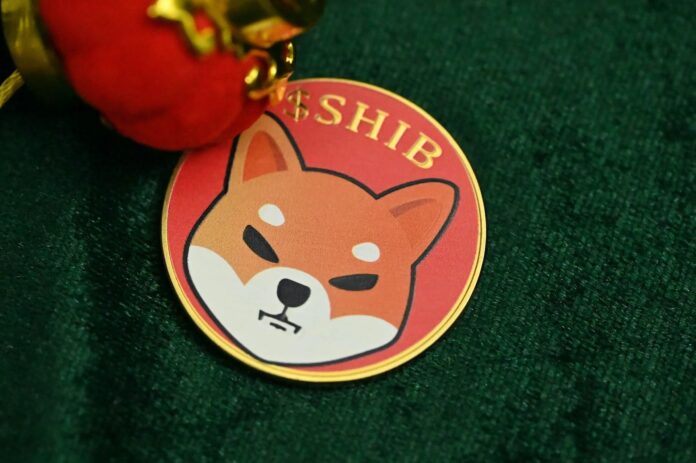 Shiba-Inu.webp.jpeg