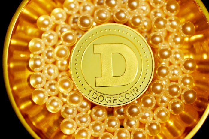Dogecoin-from-Unsplash-48.jpg