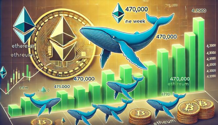 DALL·E-2025-03-24-09.53.03-A-financial-themed-image-illustrating-whales-accumulating-470000-Ethereum.jpeg