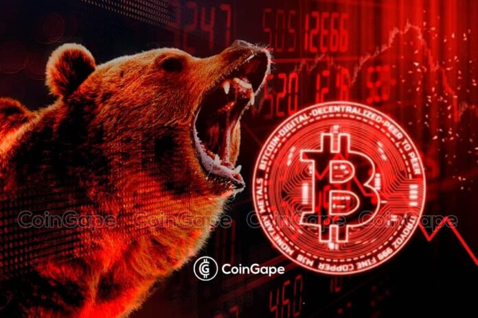 bear-market-CG.jpg