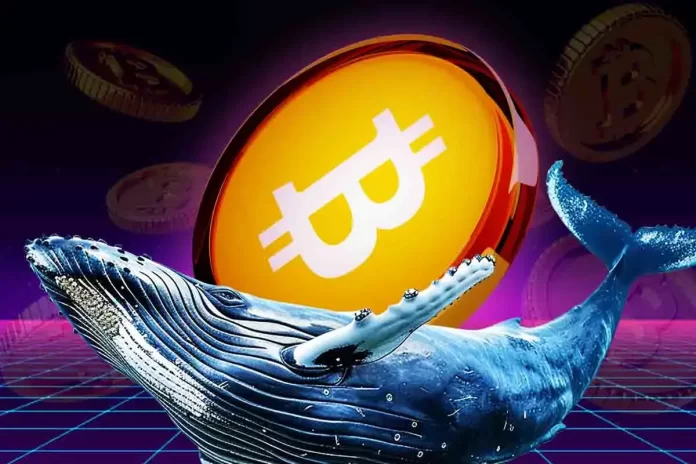 Whales-Buy-Retail-Sells-83K-BTC-Scooped-Up-Ahead-of-Bitcoin-Volume-Surge.webp.webp