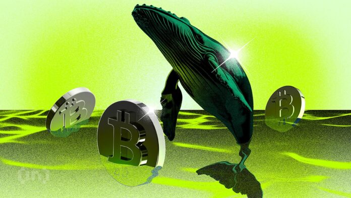 bic_Crypto_Whales_4-covers_bullish.jpg.optimal.jpg