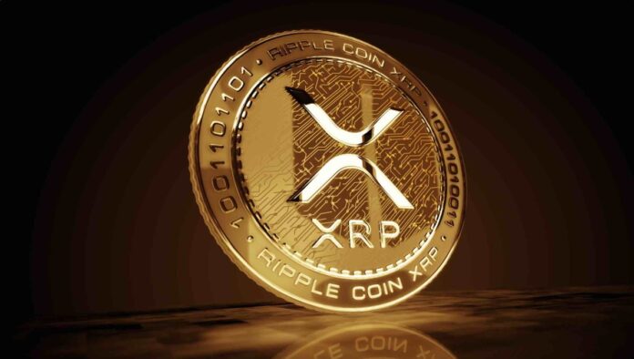 resized_xrp_image_500kb.jpg