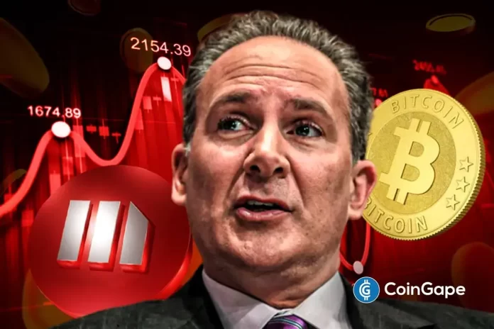 MSTR-Stock-at-Risk-Peter-Schiff.webp.webp