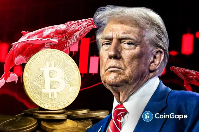 Will-Bitcoin-Crash.webp.webp