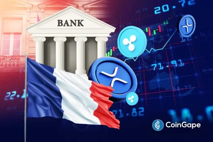 XRP-New-2.webp.webp